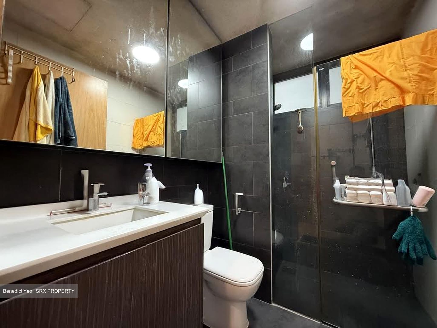 Parc Olympia (D17), Condominium #561748451